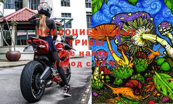 мет Гусиноозёрск
