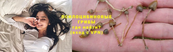 Альфа ПВП Гусь-Хрустальный