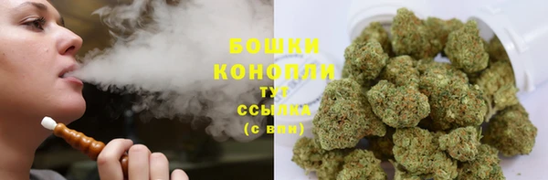 Альфа ПВП Гусь-Хрустальный