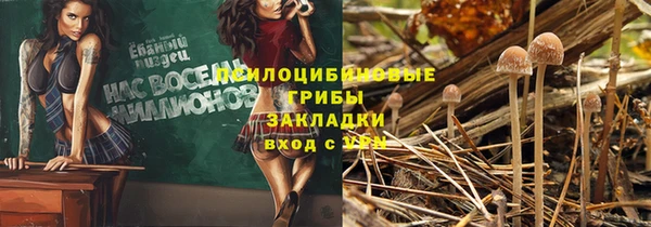 мет Гусиноозёрск