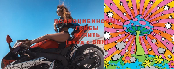 а пвп мука Гусев