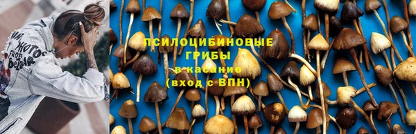 мет Гусиноозёрск