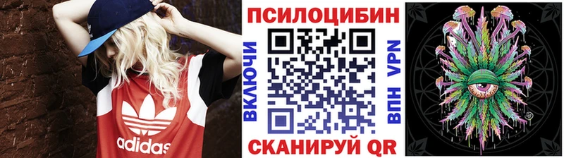 магазин    Новоуральск  Галлюциногенные грибы Cubensis 